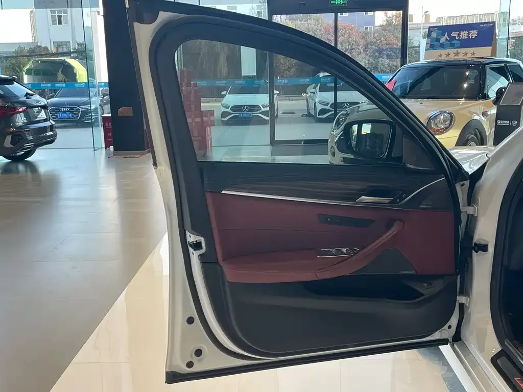 BMW 5 Series 2022 из CN, фото 8