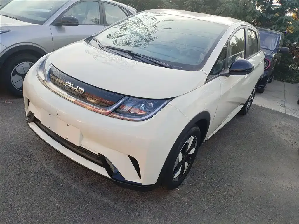 BYD Dolphin 2025 из CN, фото 1