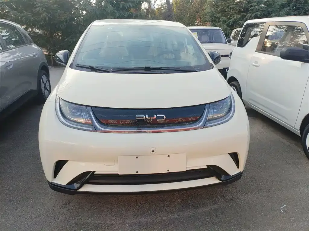 BYD Dolphin 2025 из CN, фото 3