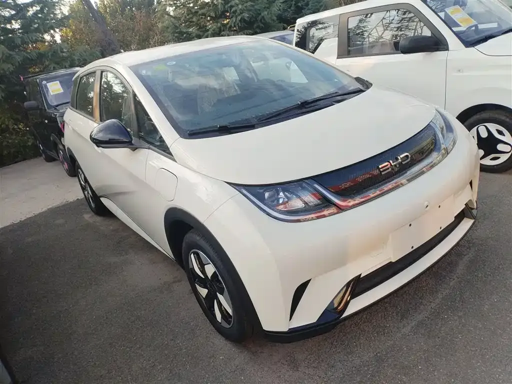 BYD Dolphin 2025 из CN, фото 4