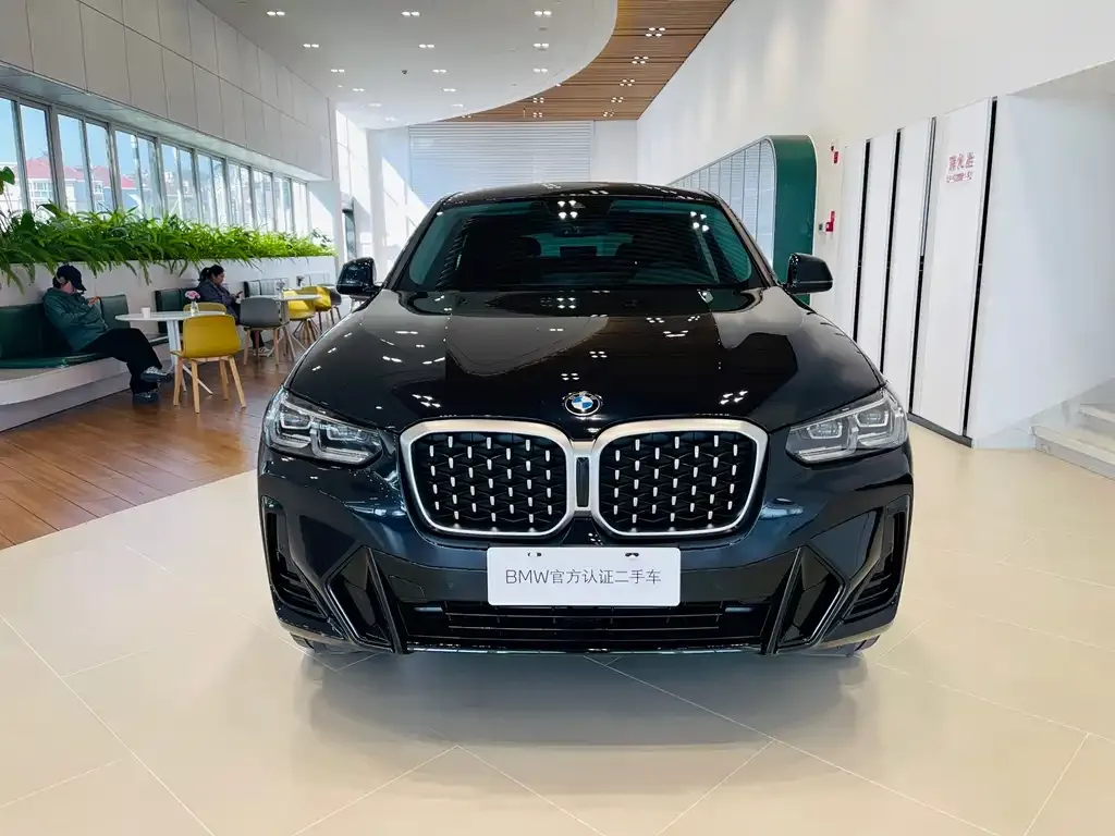 BMW X4 2024 из CN, фото 2