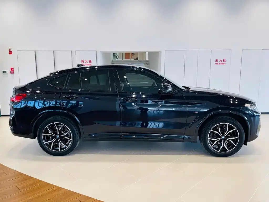 BMW X4 2024 из CN, фото 3