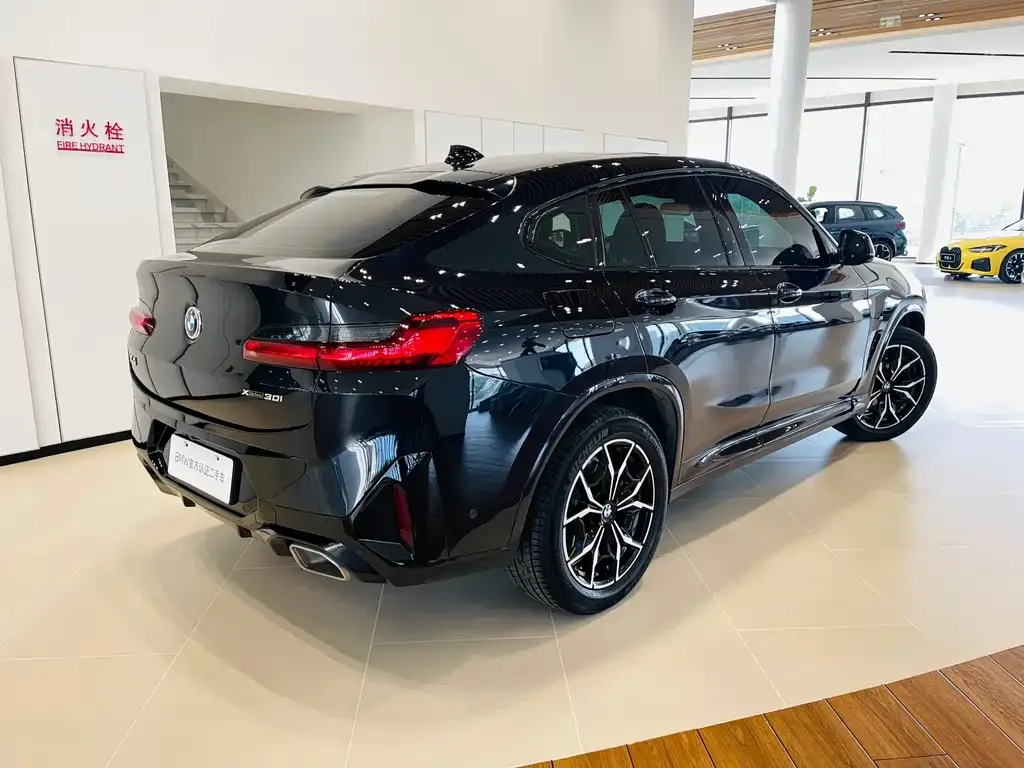 BMW X4 2024 из CN, фото 4