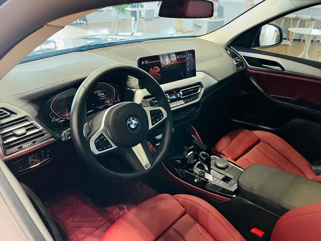 BMW X4 2024 из CN, фото 7