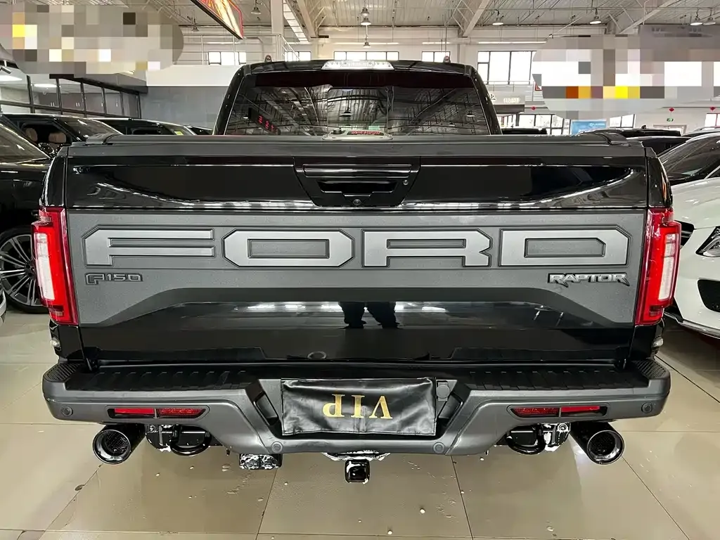 Ford F-150 Raptor 2021 из CN, фото 8