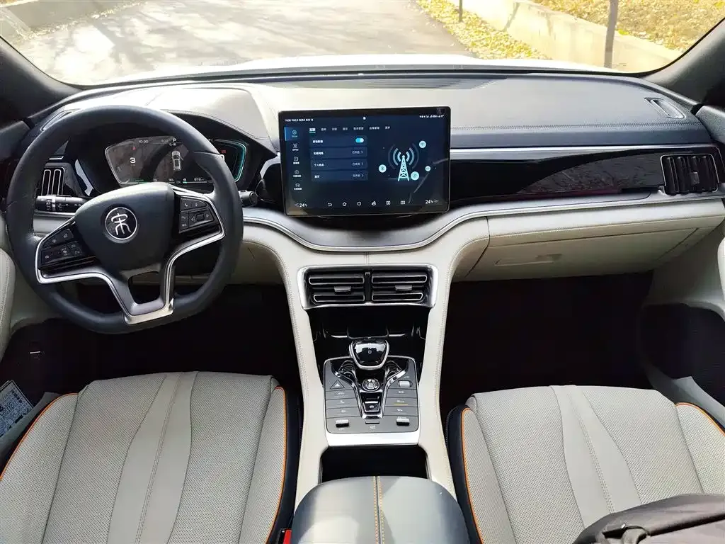 BYD PLUS New Energy — фото 10