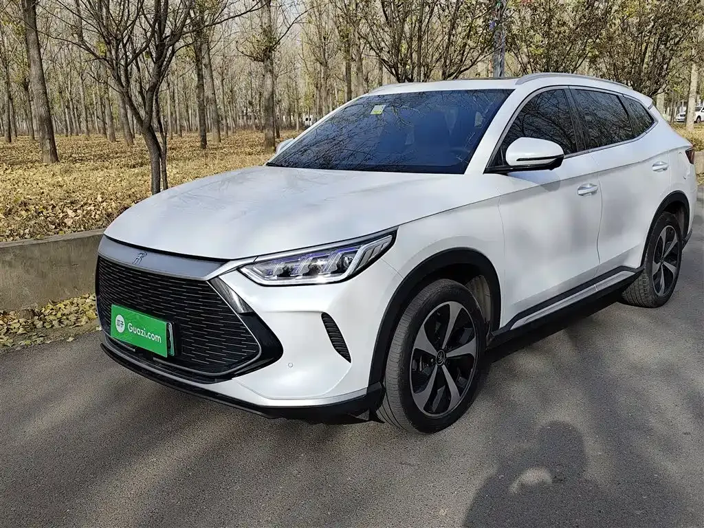 BYD PLUS New Energy — фото 2