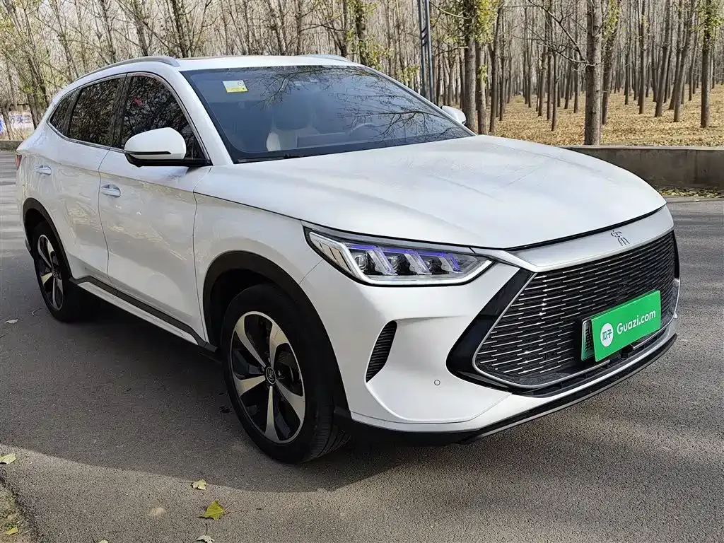 BYD PLUS New Energy — фото 4