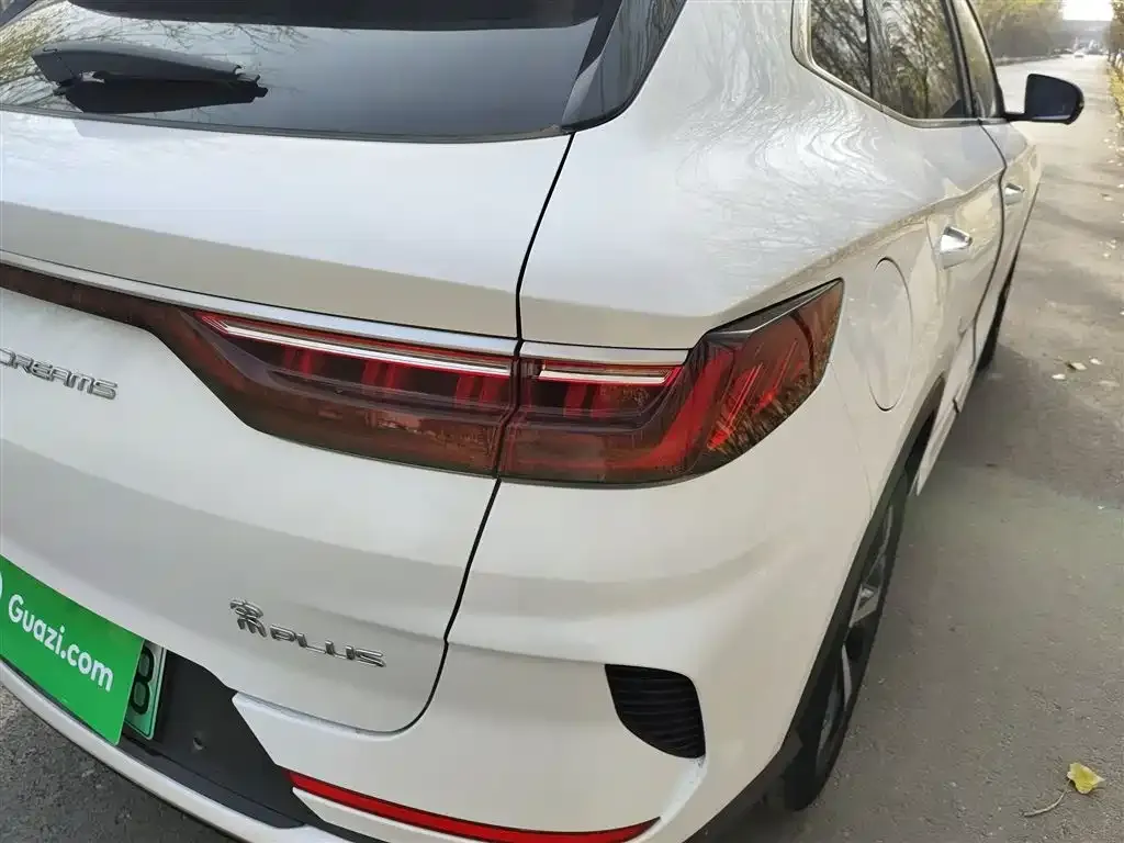 BYD PLUS New Energy — фото 8