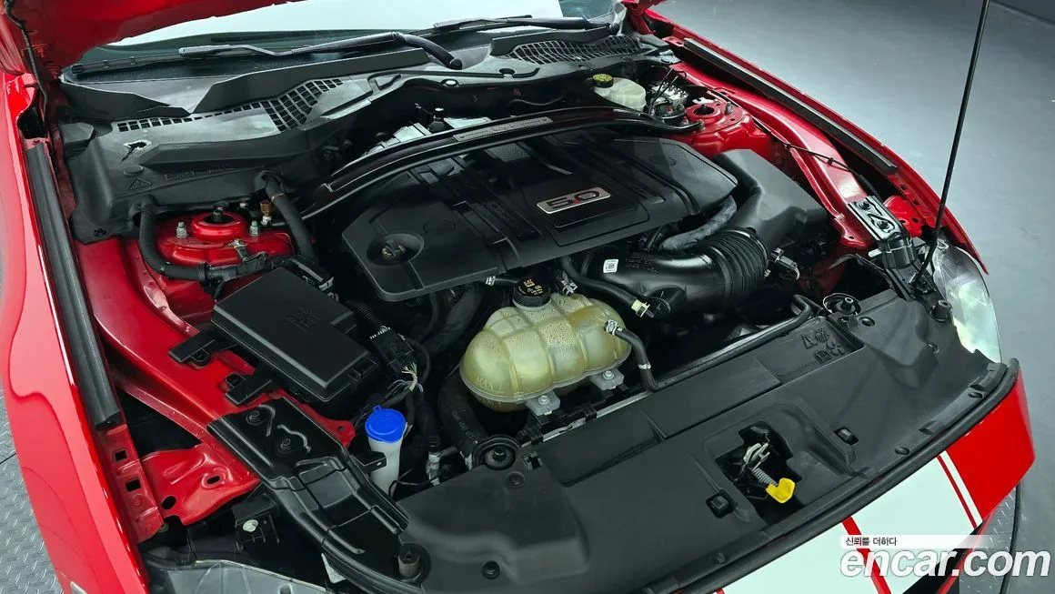 Ford Mustang 2021 из KR, фото 6