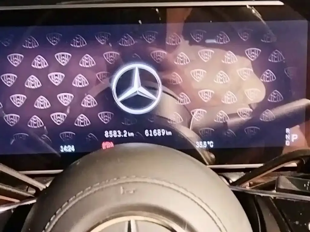 Mercedes-Benz S-Class 2024 из CN, фото 3