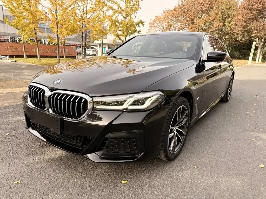 BMW 5 Series 2021 из CN, фото 1