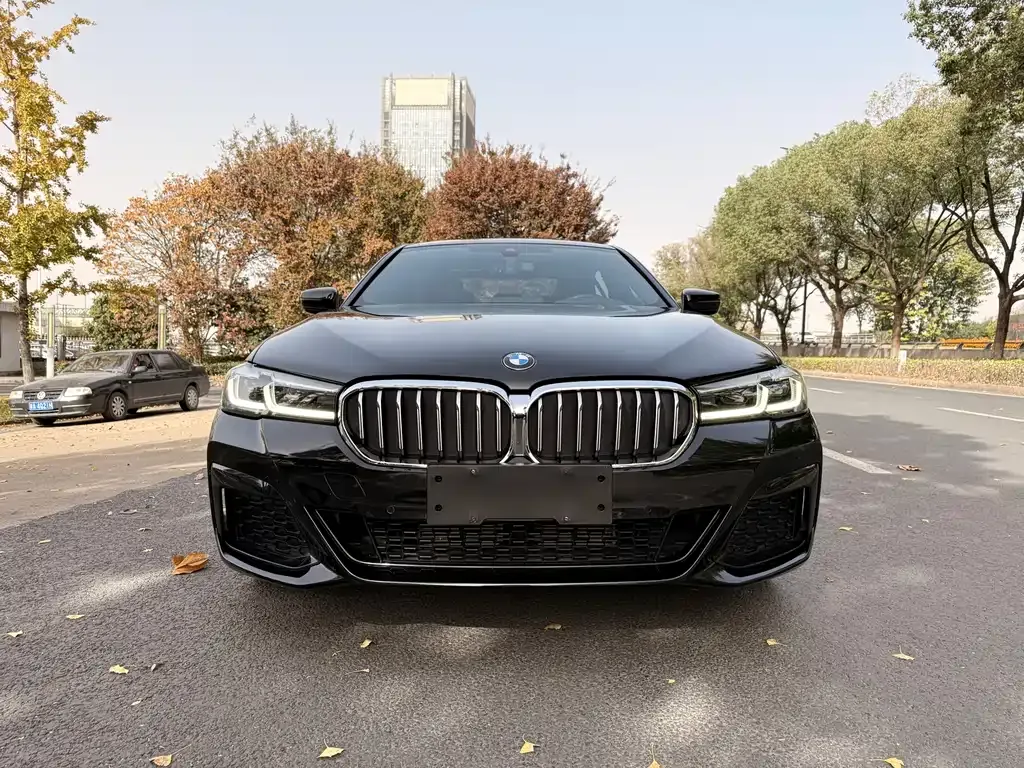 BMW 5 Series 2021 из CN, фото 2