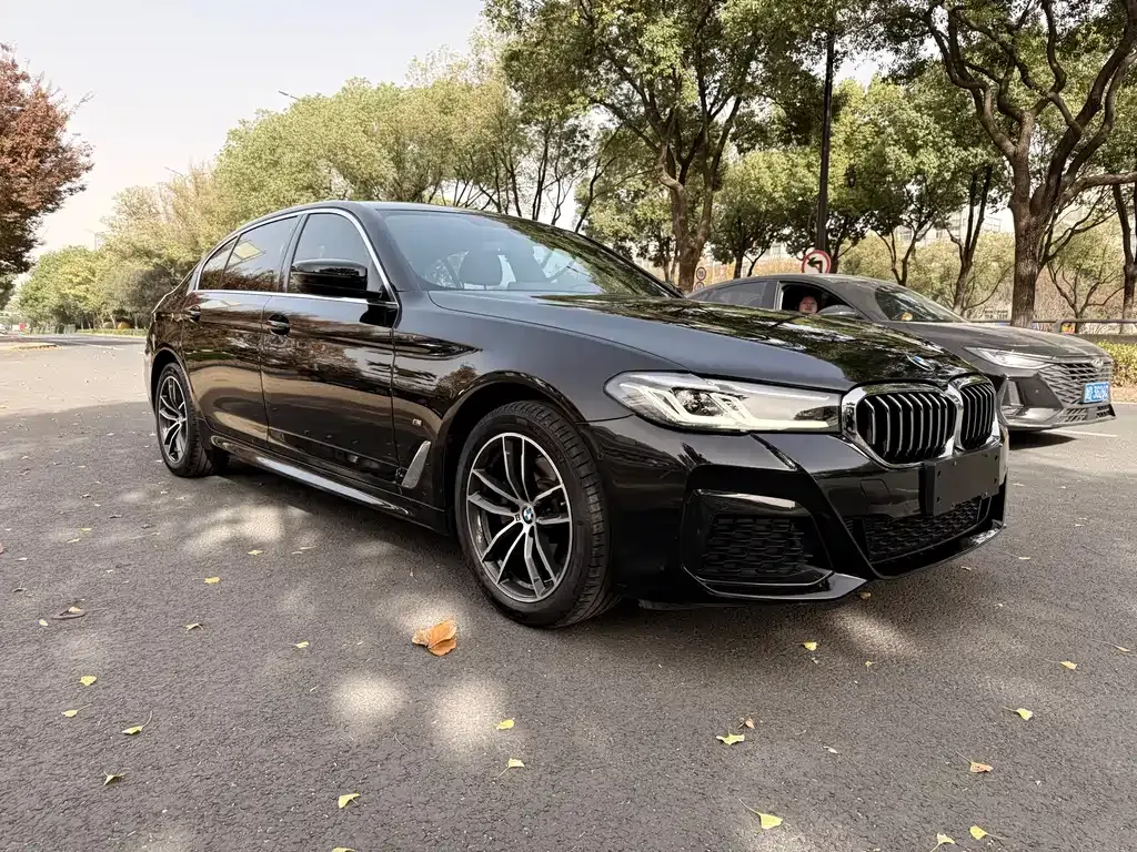 BMW 5 Series 2021 из CN, фото 3