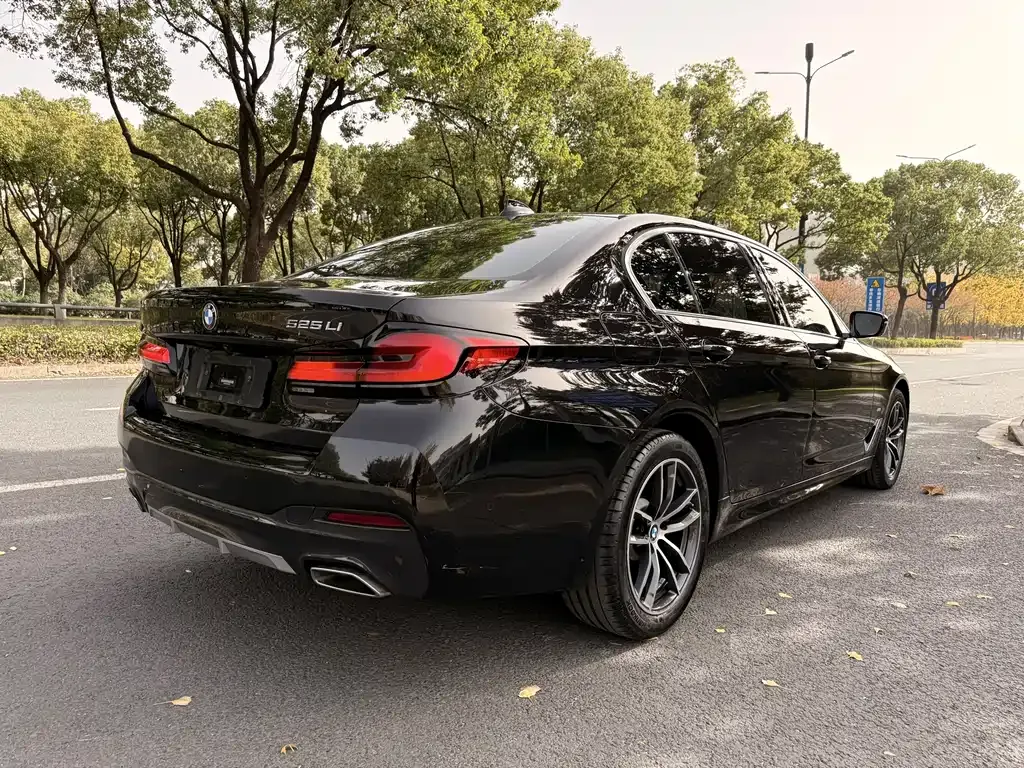 BMW 5 Series 2021 из CN, фото 5