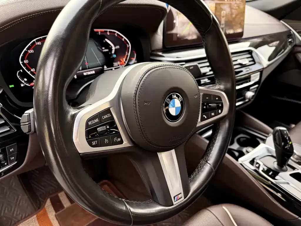 BMW 5 Series 2021 из CN, фото 9