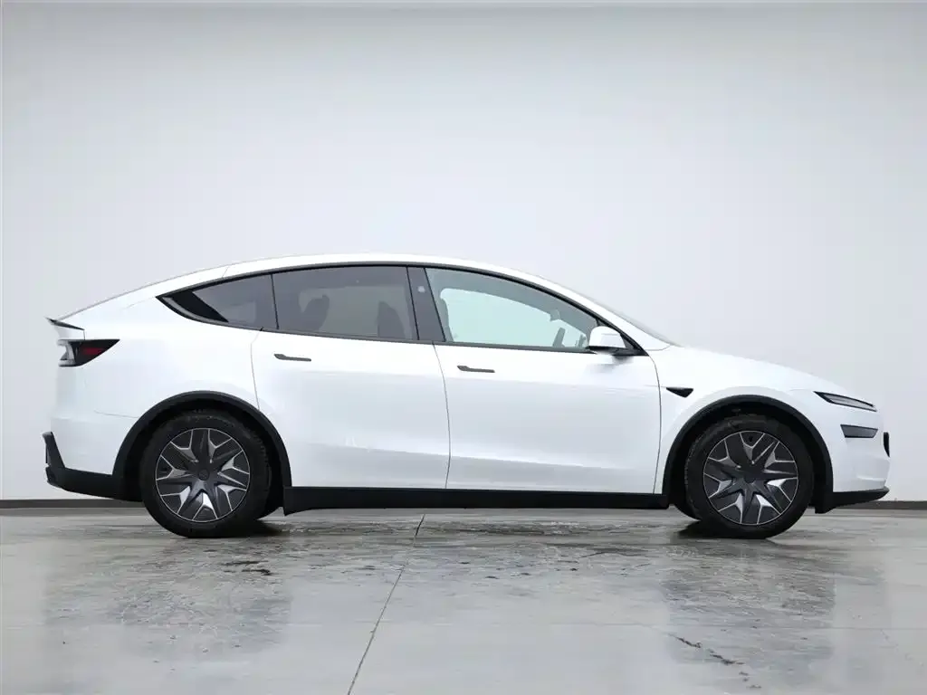 Tesla Model Y L 2025 из CN, фото 6