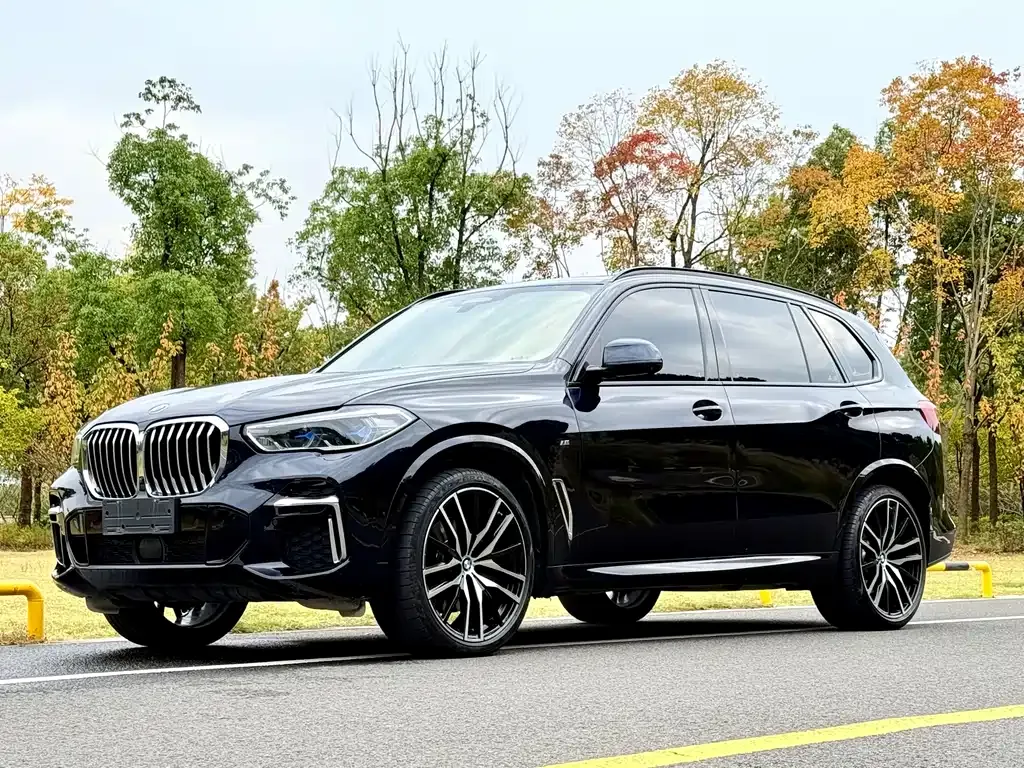 BMW X5 2023 из CN, фото 1