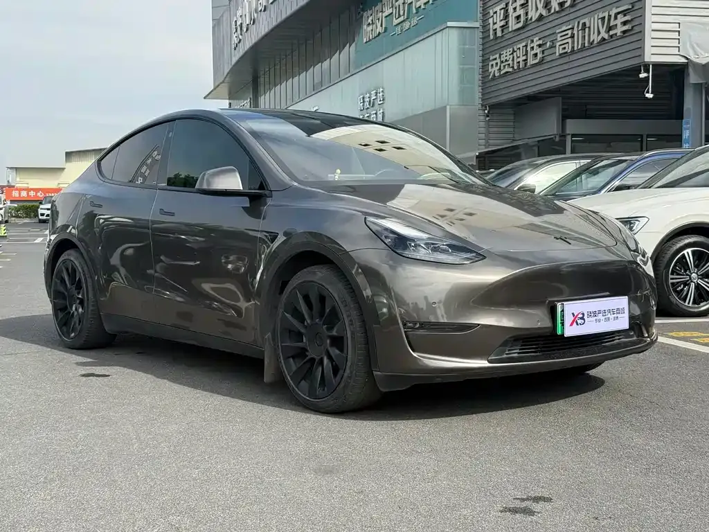 Tesla Model Y 2022 из CN, фото 3