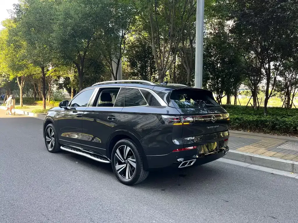 Volkswagen Tavendor 2023 из CN, фото 6
