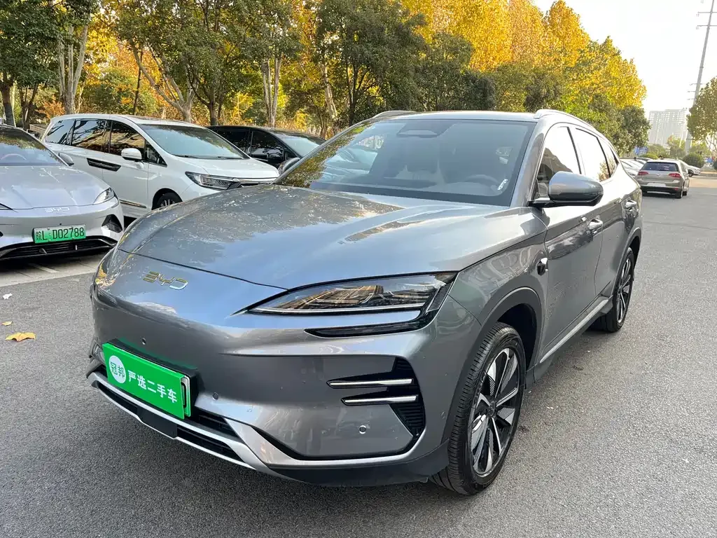 BYD PLUS New Energy 2025 из CN, фото 1