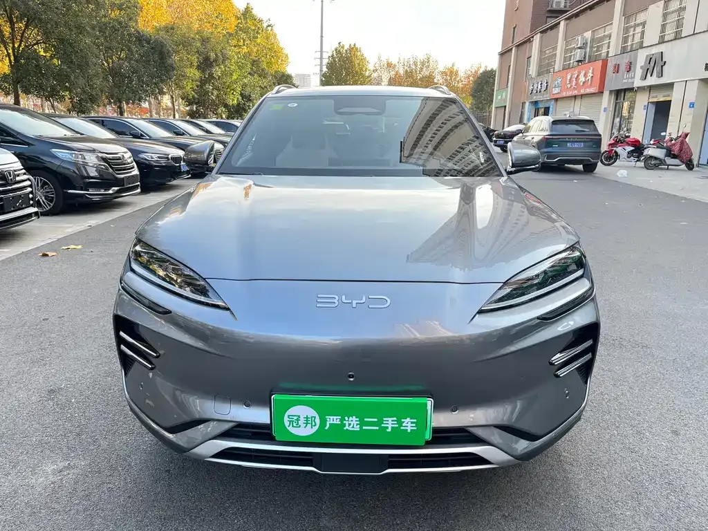 BYD PLUS New Energy 2025 из CN, фото 2