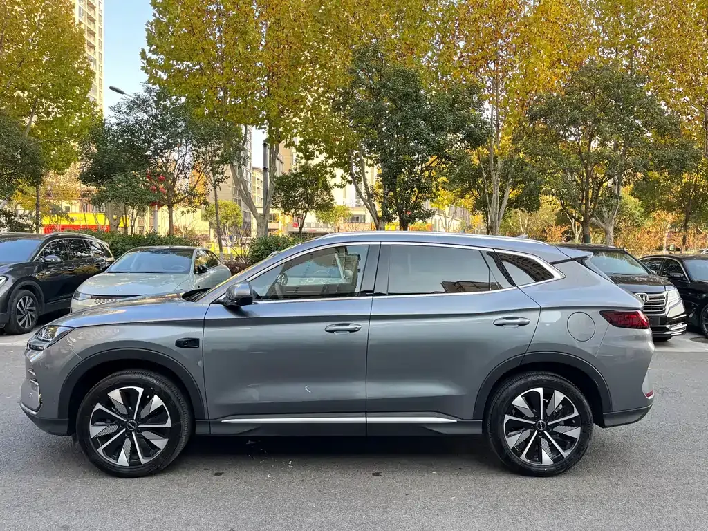 BYD PLUS New Energy 2025 из CN, фото 3