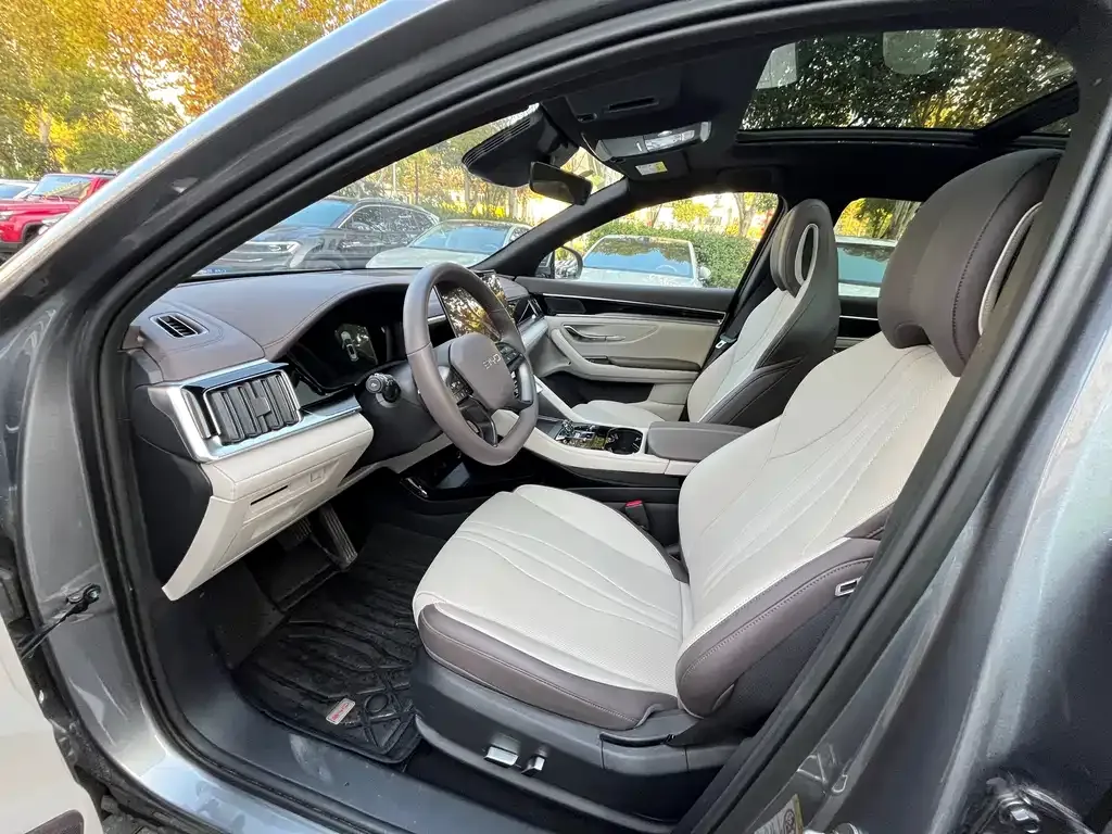 BYD PLUS New Energy 2025 из CN, фото 5