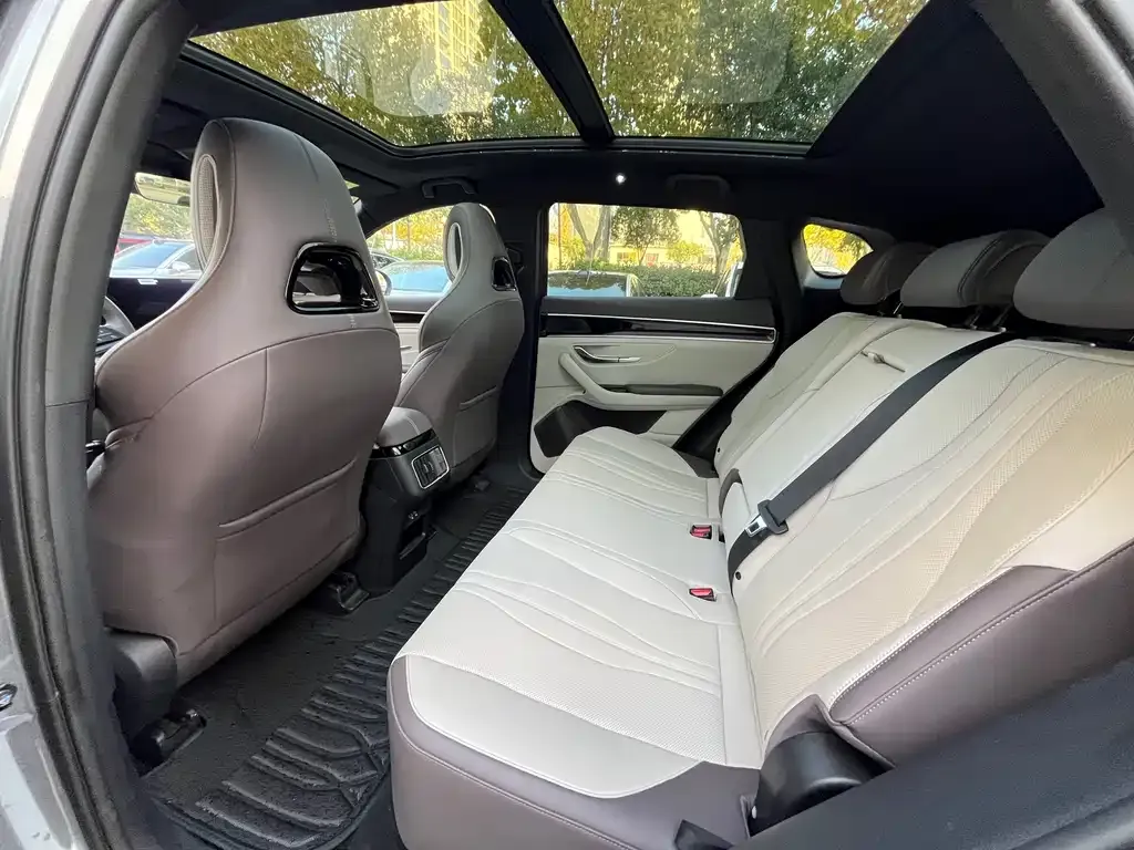 BYD PLUS New Energy 2025 из CN, фото 6