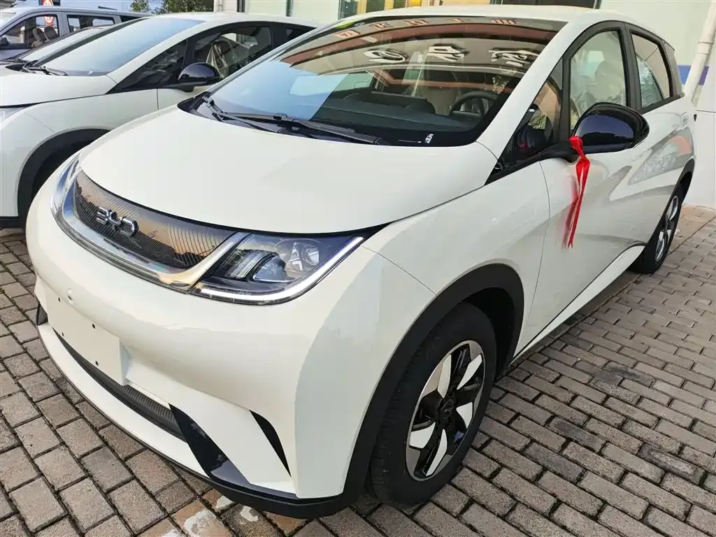 BYD Dolphin 2025 из CN, фото 1