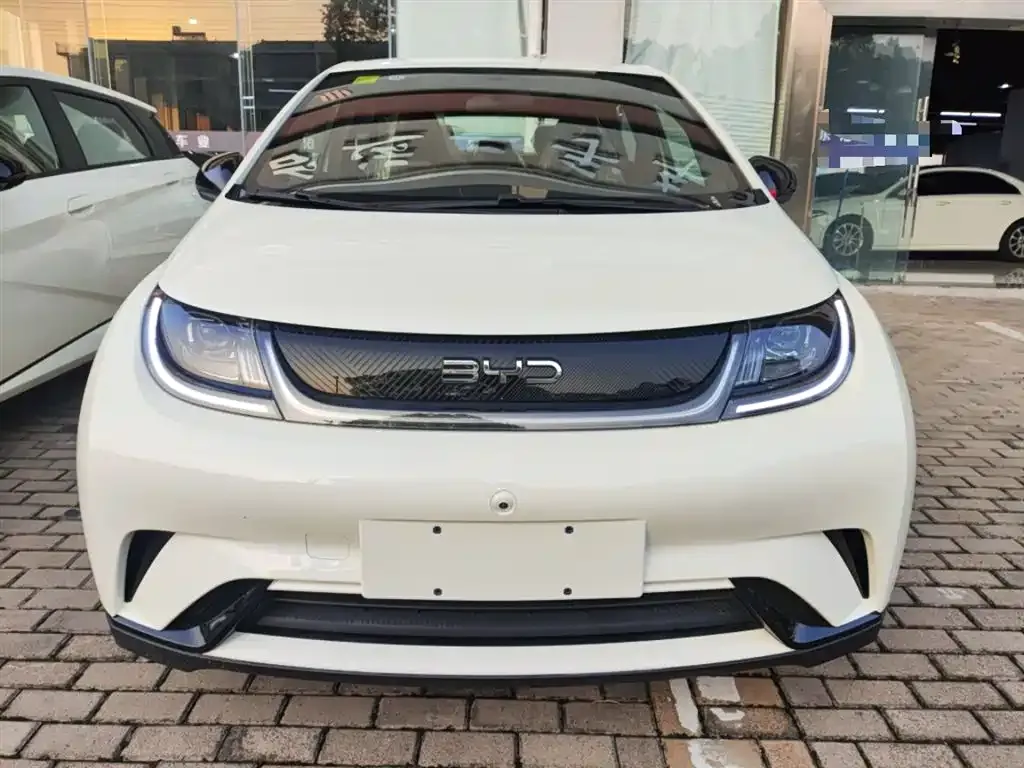 BYD Dolphin 2025 из CN, фото 3