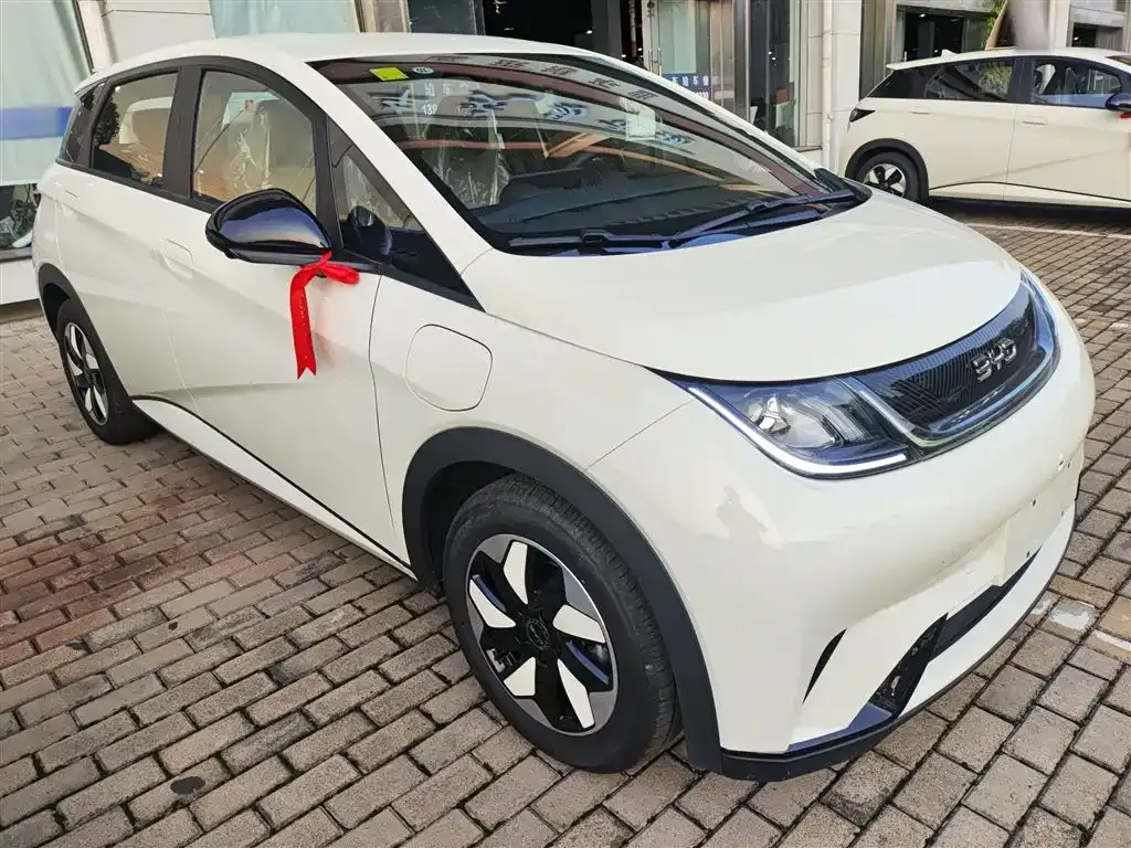 BYD Dolphin 2025 из CN, фото 4