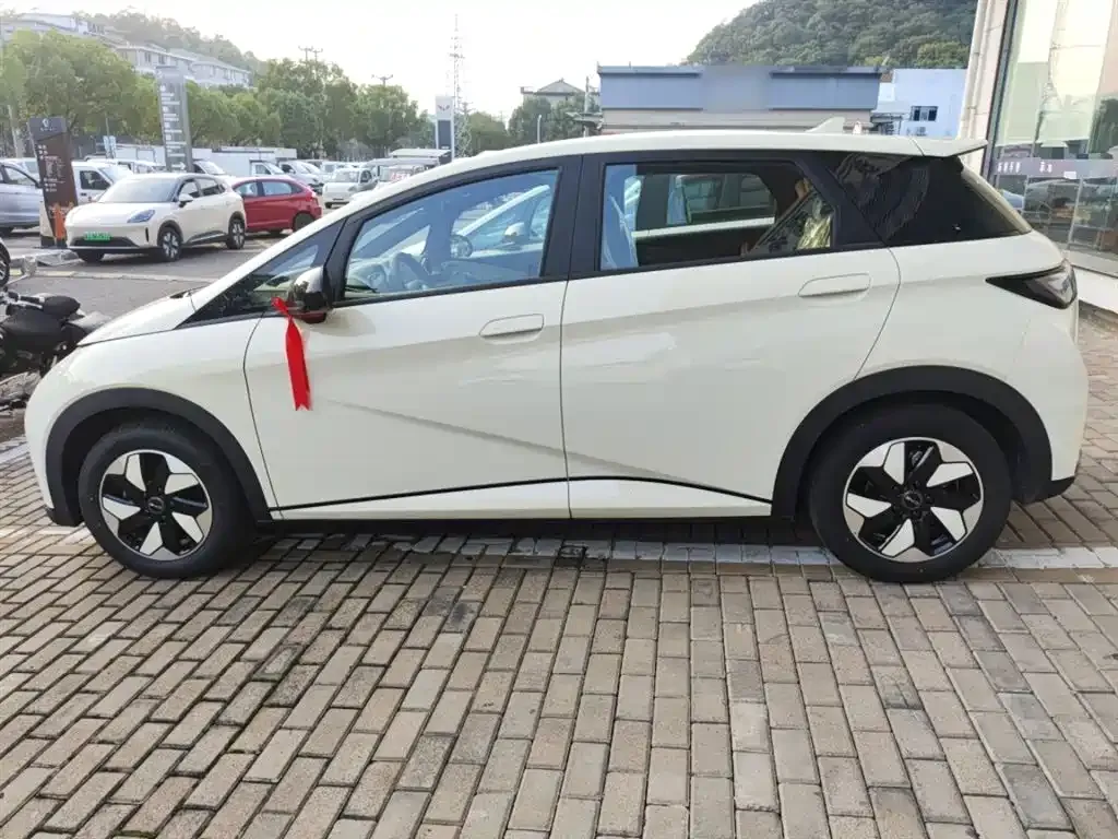 BYD Dolphin 2025 из CN, фото 5