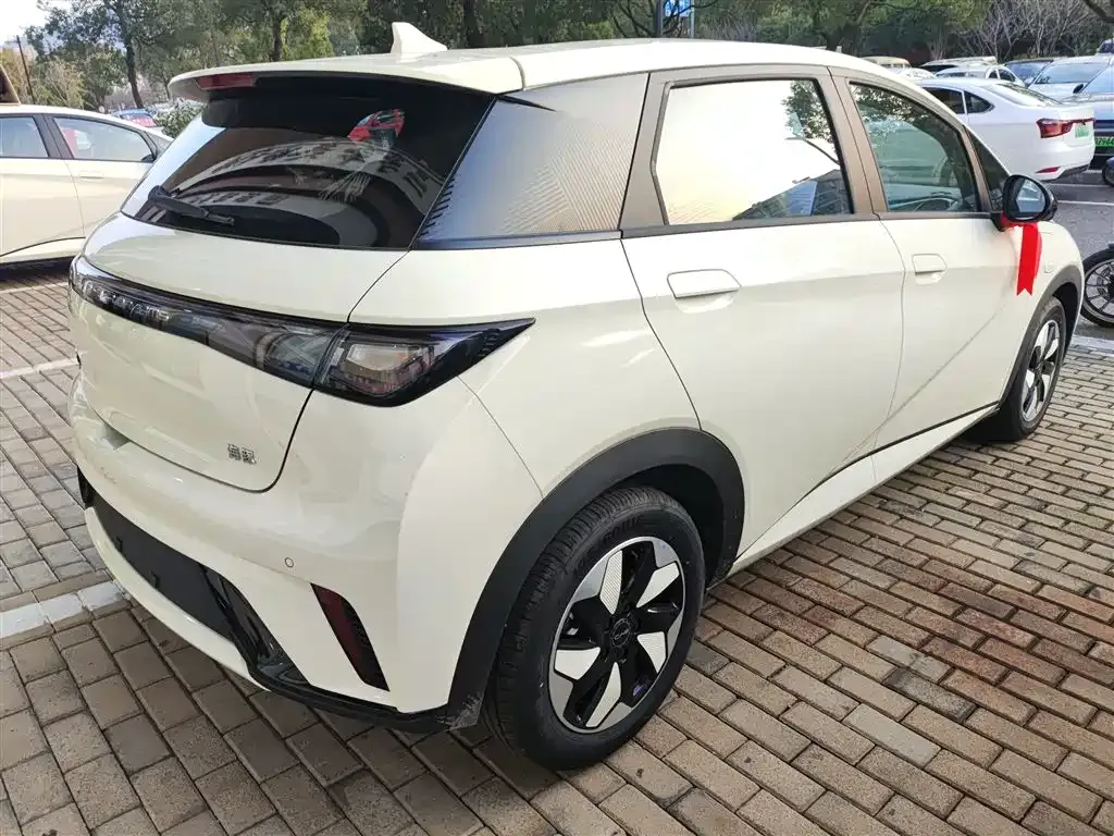 BYD Dolphin 2025 из CN, фото 7