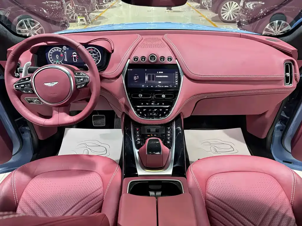 Aston Martin DBX 2024 из CN, фото 4