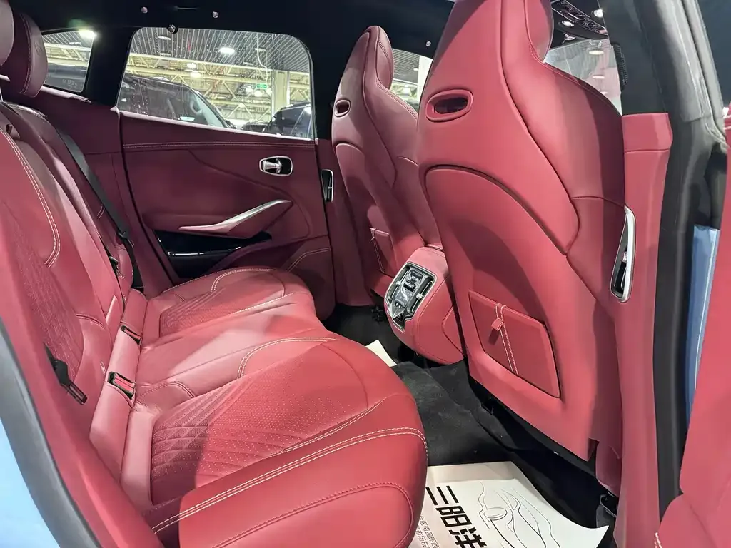 Aston Martin DBX 2024 из CN, фото 8