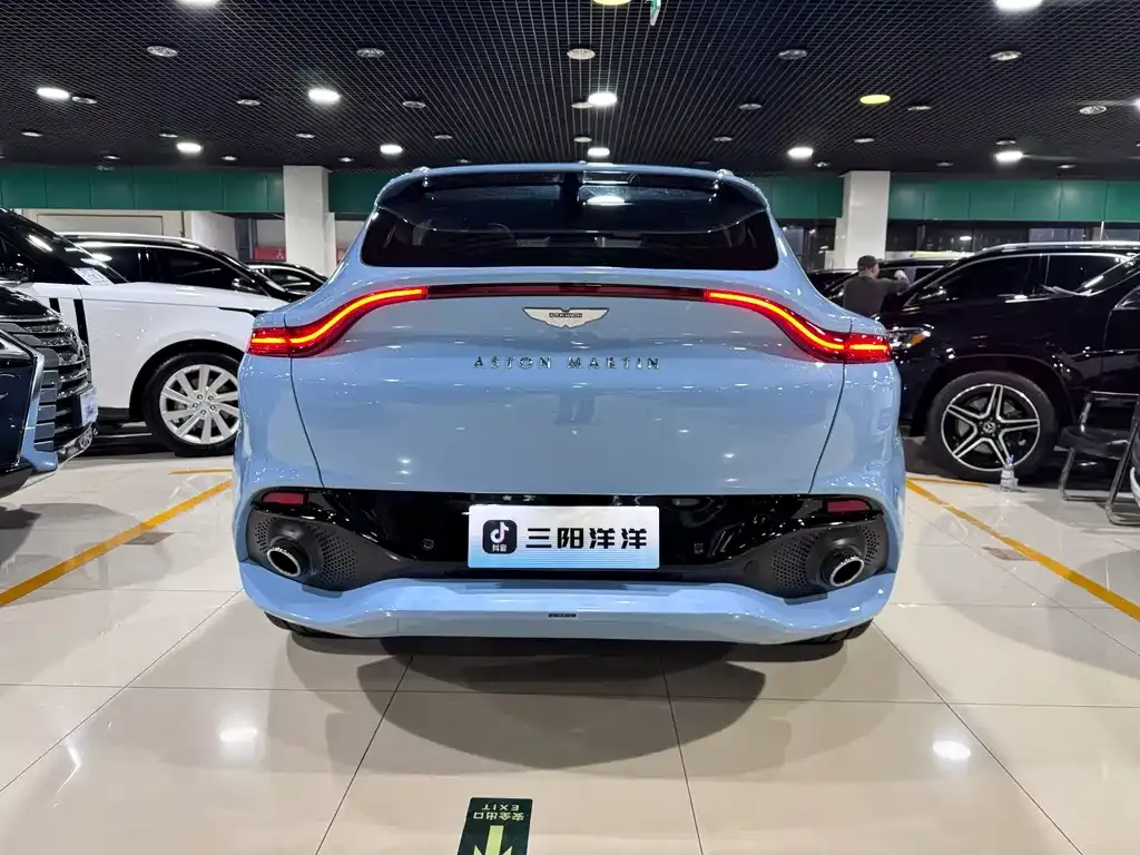 Aston Martin DBX 2024 из CN, фото 9