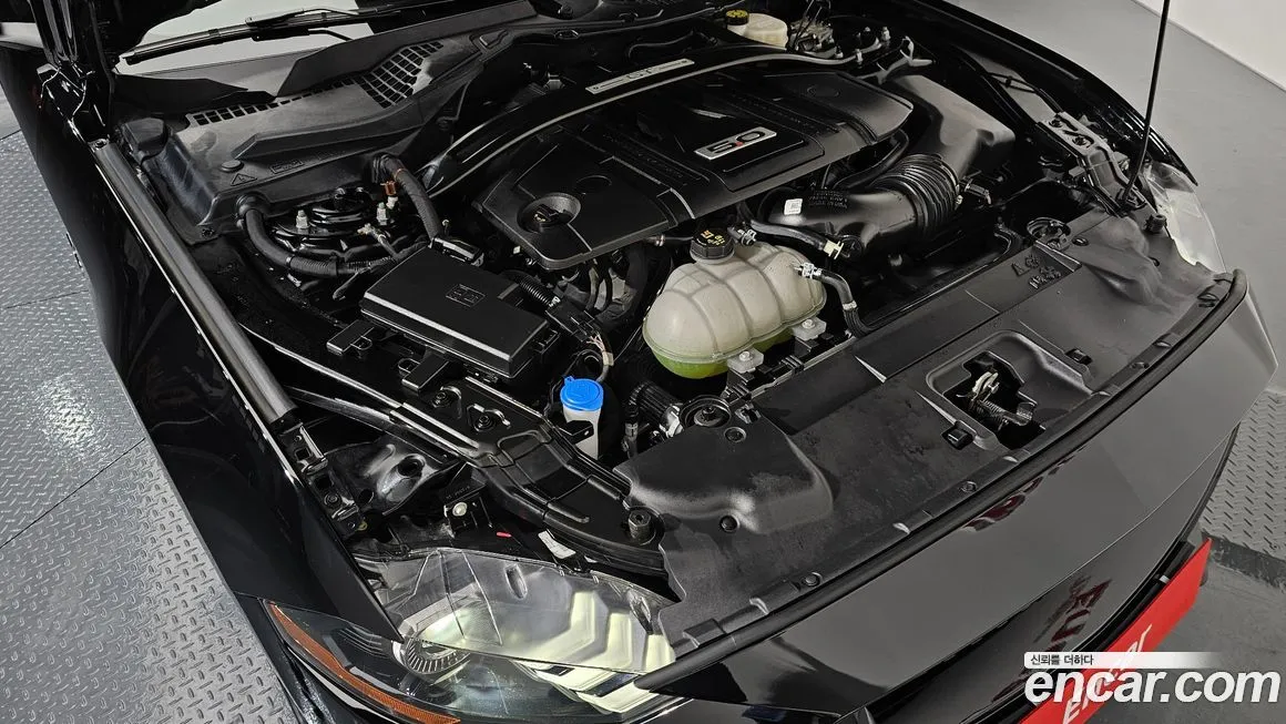 Ford Mustang 2023 из KR, фото 6