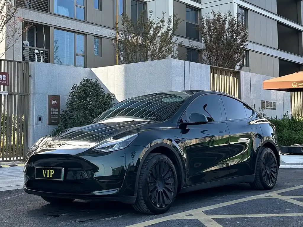 Tesla Model Y 2023 из CN, фото 1