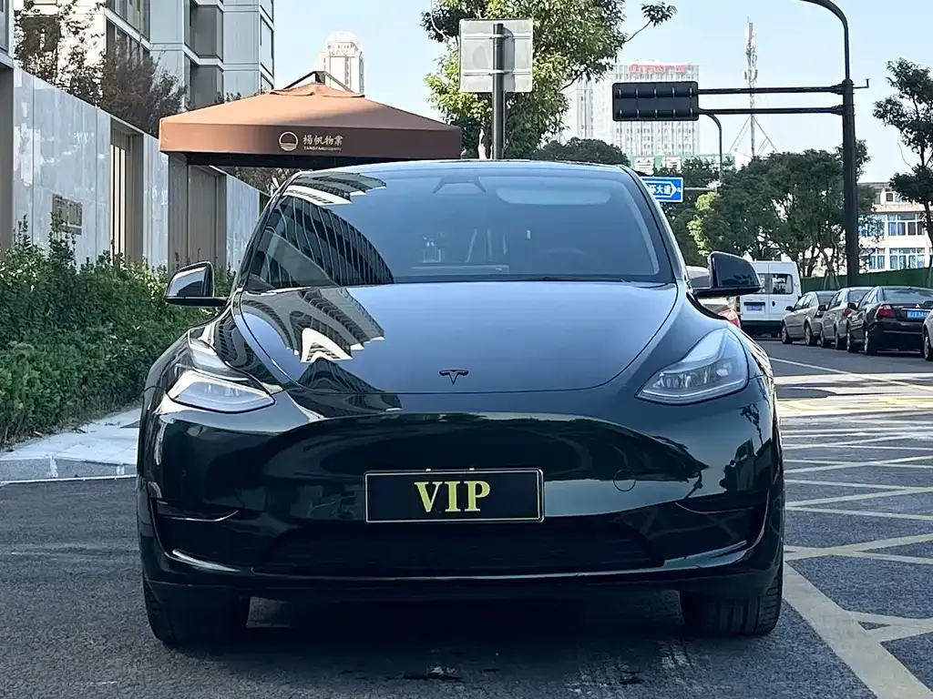 Tesla Model Y 2023 из CN, фото 2