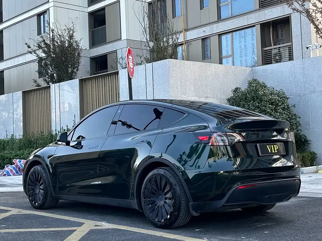 Tesla Model Y 2023 из CN, фото 4