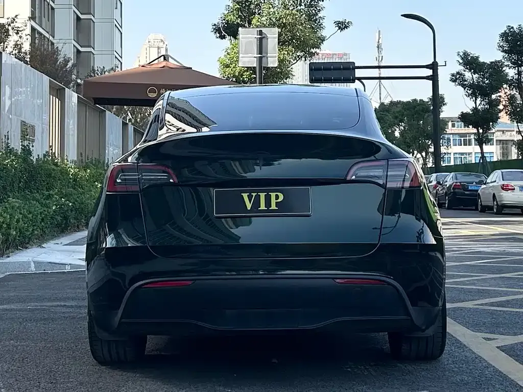 Tesla Model Y 2023 из CN, фото 5