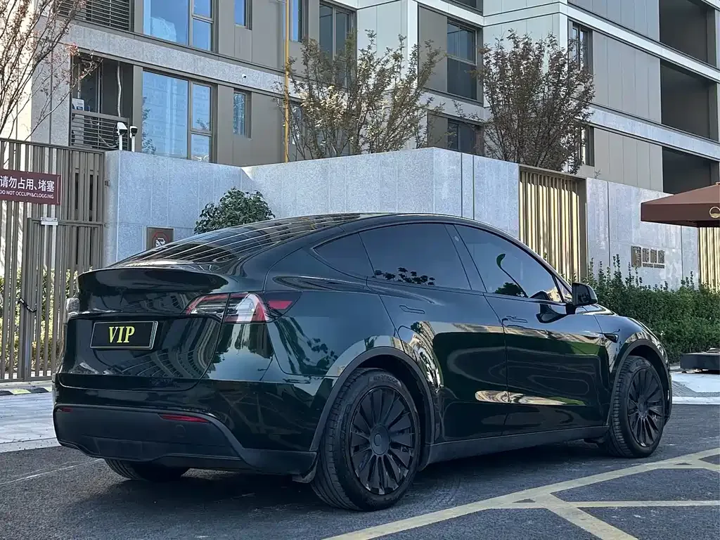 Tesla Model Y 2023 из CN, фото 6