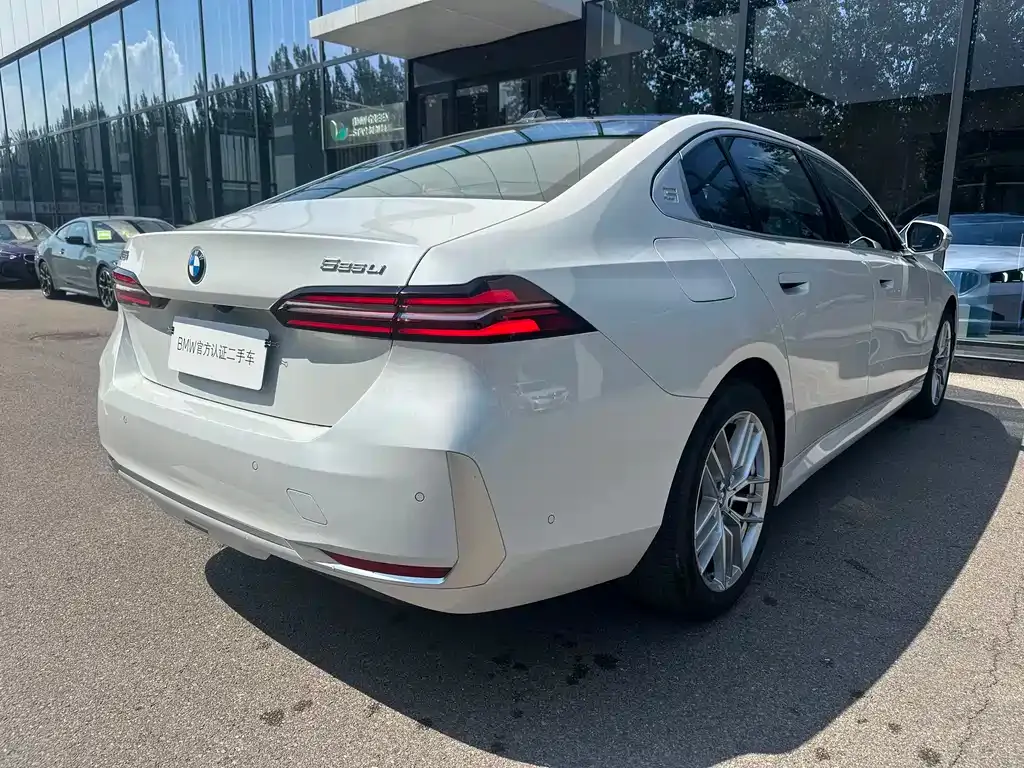BMW 5 Series 2024 из CN, фото 6