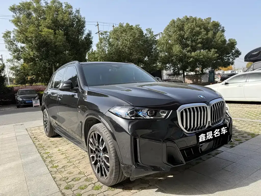 BMW X5 2024 из CN, фото 3