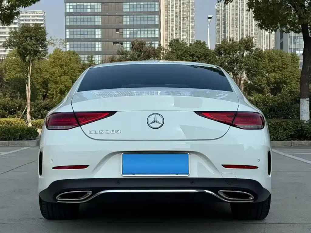 Mercedes-Benz CLS 2021 из CN, фото 4