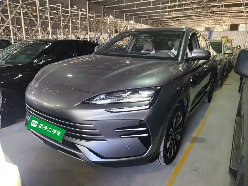 BYD PLUS New Energy 2025 из CN, фото 2