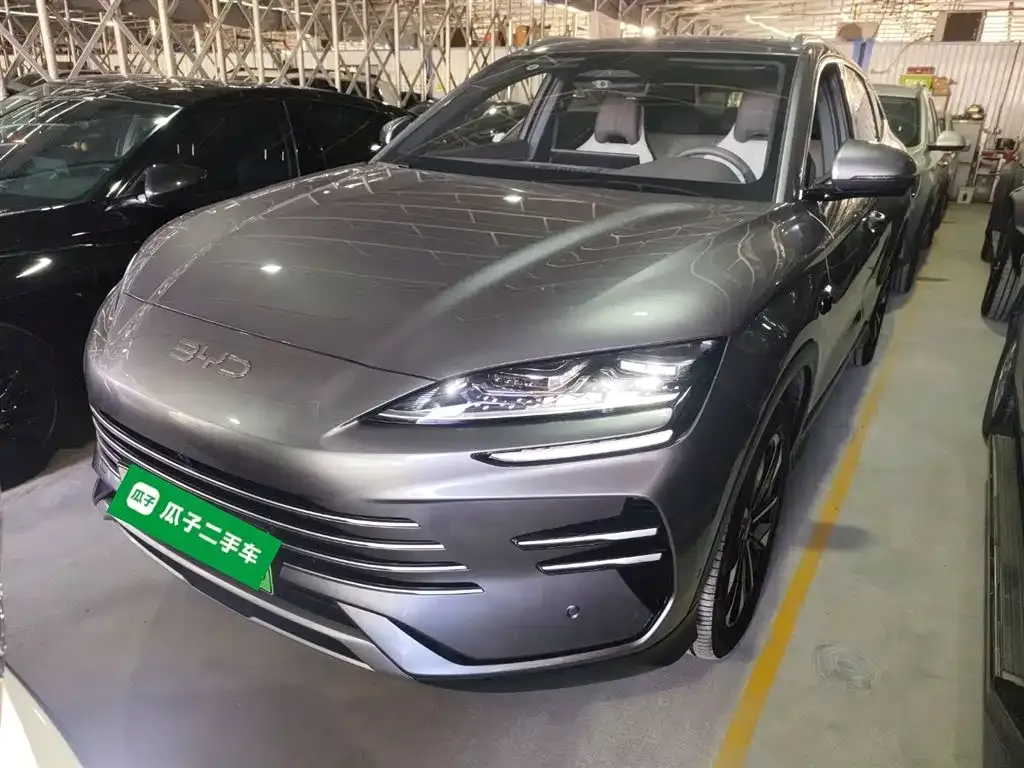 BYD PLUS New Energy 2025 из CN, фото 3