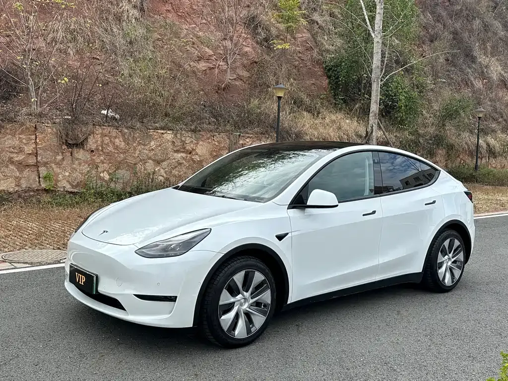 Tesla Model Y 2021 из CN, фото 1