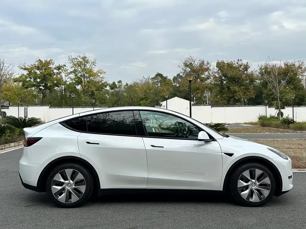 Tesla Model Y 2021 из CN, фото 10
